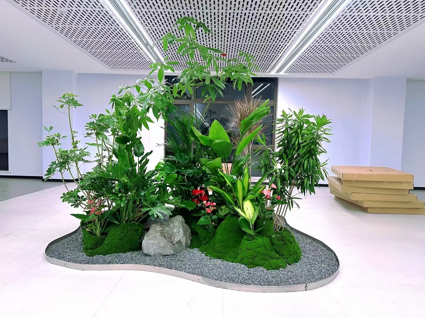 专业花卉租赁,宁波鄞州的绿植优选之道